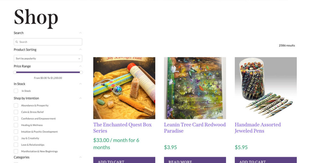 Ocala business e-commerce website